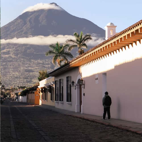 Antigua & Wild Guatemala