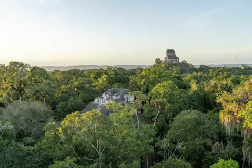 Tikal Ruins — Day Tour