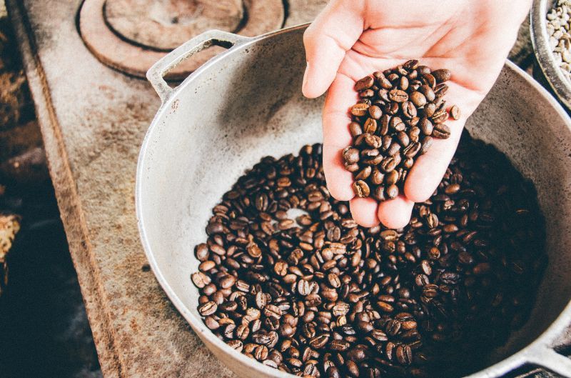 Coffee Plantation Tour